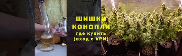 PSILOCYBIN Новодвинск