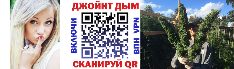 Бошки марихуана сатива Уяр